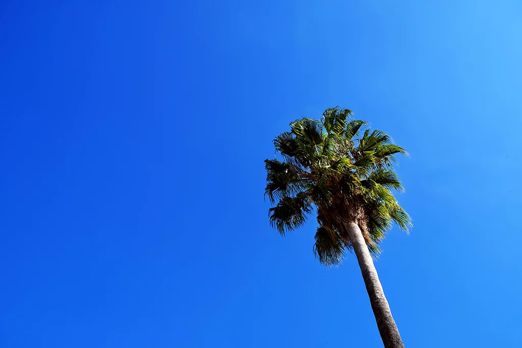 Composition photographique autour des nuances de bleu par Pablo Arce