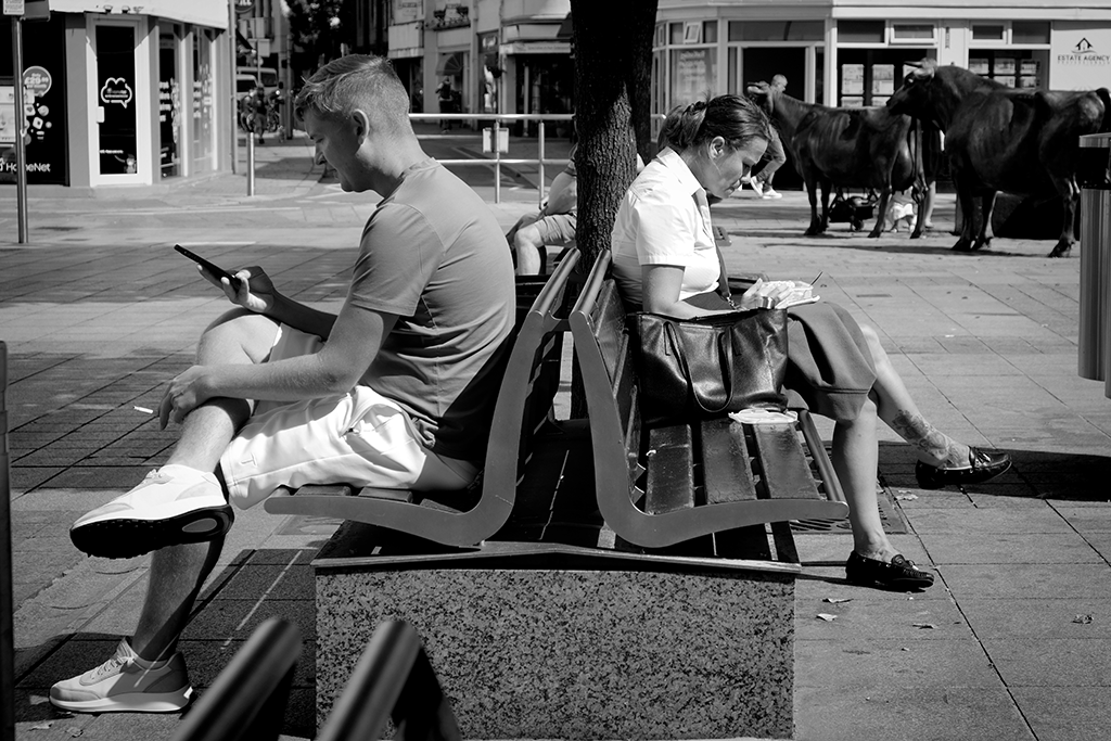 12 BNW_DSCF0401 copie Jersey - Street photo à Saint Hélier