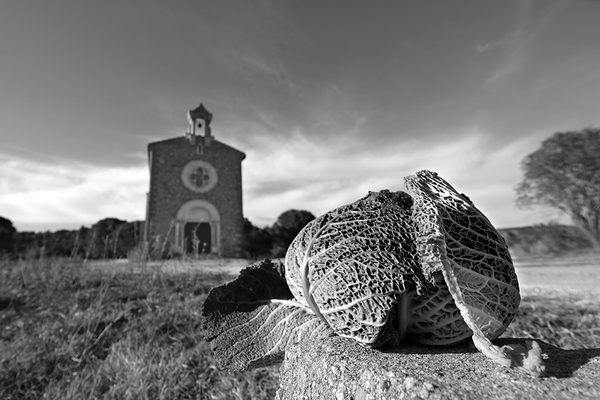 TAUTAVEL_BNW_DSCF0483 copie La Chapelle des Puelles